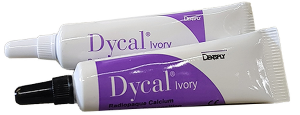 Dycal Single Kit Calcium Hydroxide Liner, Base & Catalyst